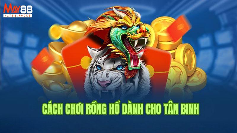 Bí quyết chinh phục game bài rồng hổ May88